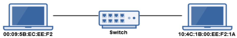 Data Link Layer – MAC addressing